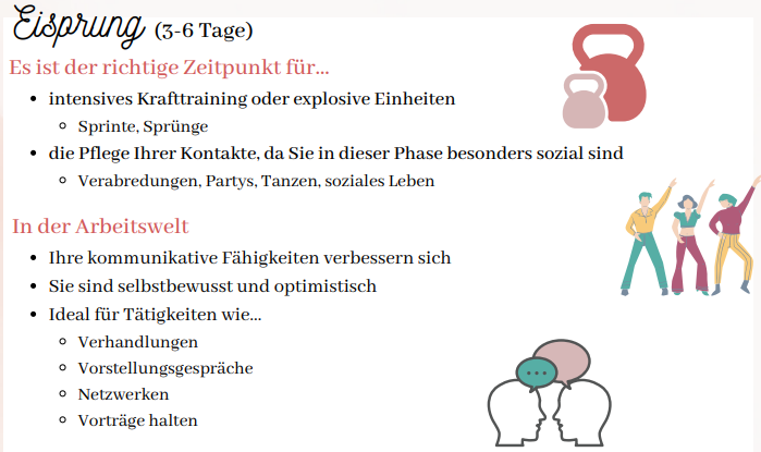 eisprung.jpeg